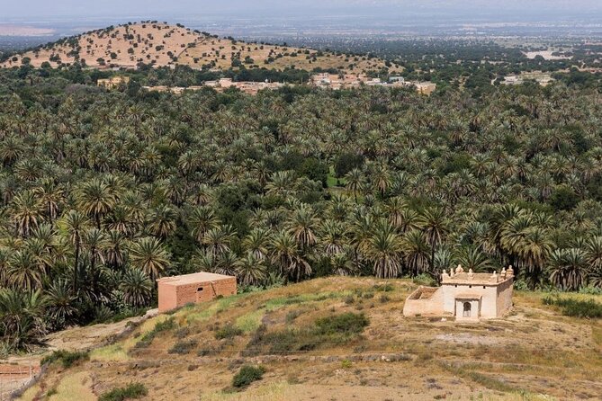 Visit Taroudant and Tiout 1 day From Agadir - What the guides add to the day