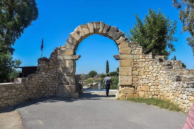 Volubilis and Meknes day trip from Fez - Private transport makes the distance easier