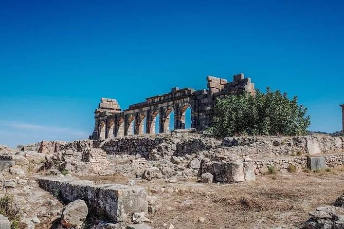 Volubilis and Meknes day trip from Fez - What the $51.15 price really covers