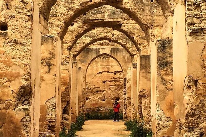 Volubilis, Moulay Idriss & Meknes Excursion from Fez - Who should book this excursion