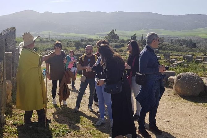 Volubilis mulay idriss and meknas tour - Who should book this Fez excursion?