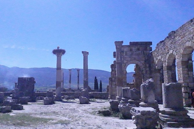 Volubilis mulay idriss and meknas tour - Meknes: four hours for gates, walls, and royal buildings