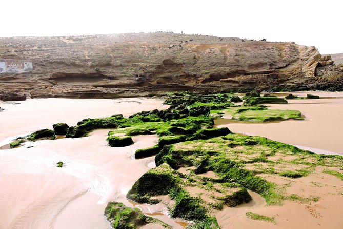 Walk between Argan Forest, Ocean & Waterfalls. 12 km - The wild beach is the coastal highlight