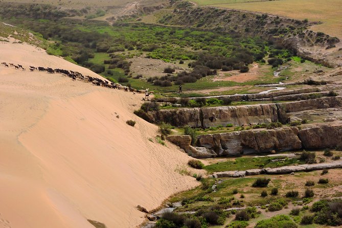 Walk between Argan Forest, Ocean & Waterfalls. 12 km - Who will enjoy this walk most