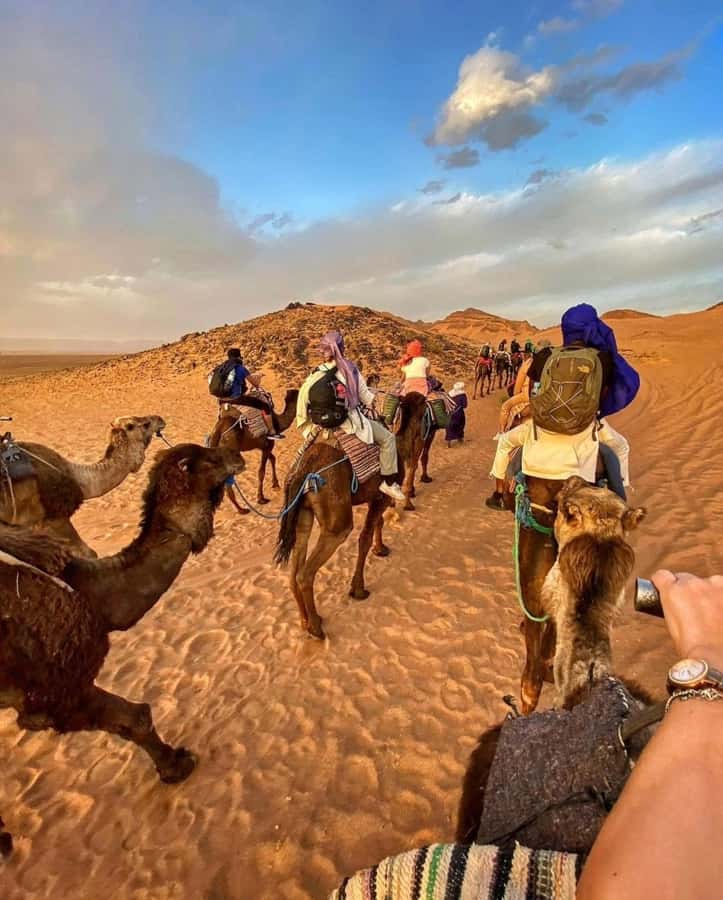 Zagora Desert: 2-Day 1-Night Desert Expedition to Remember - Crossing the High Atlas on the way south