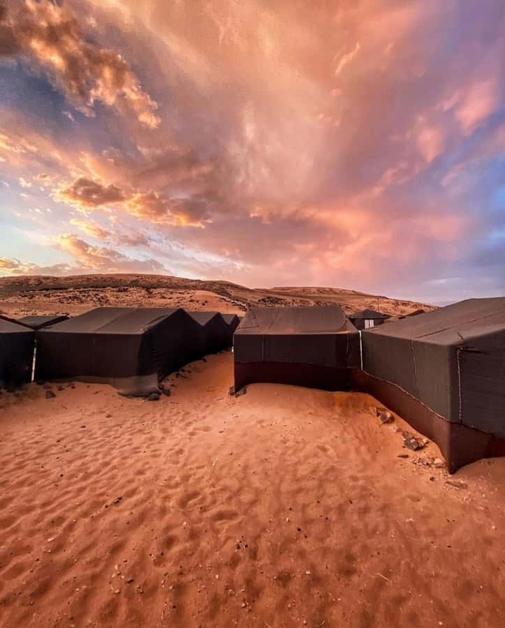Zagora Desert: 2-Day 1-Night Desert Expedition to Remember - Ouarzazate and the road through the Draa Valley