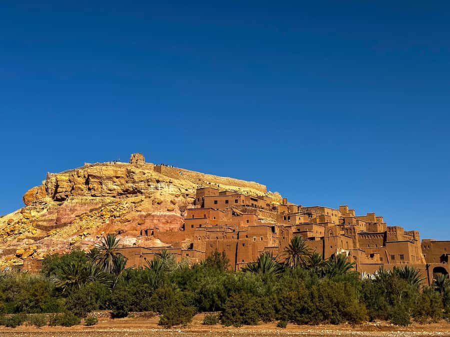 Zagora Desert: 2-Day 1-Night Desert Expedition to Remember - Sunrise, breakfast, and the return camel ride